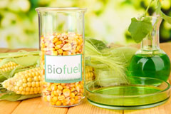 Blaenau biofuel availability