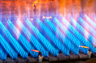 Blaenau gas fired boilers